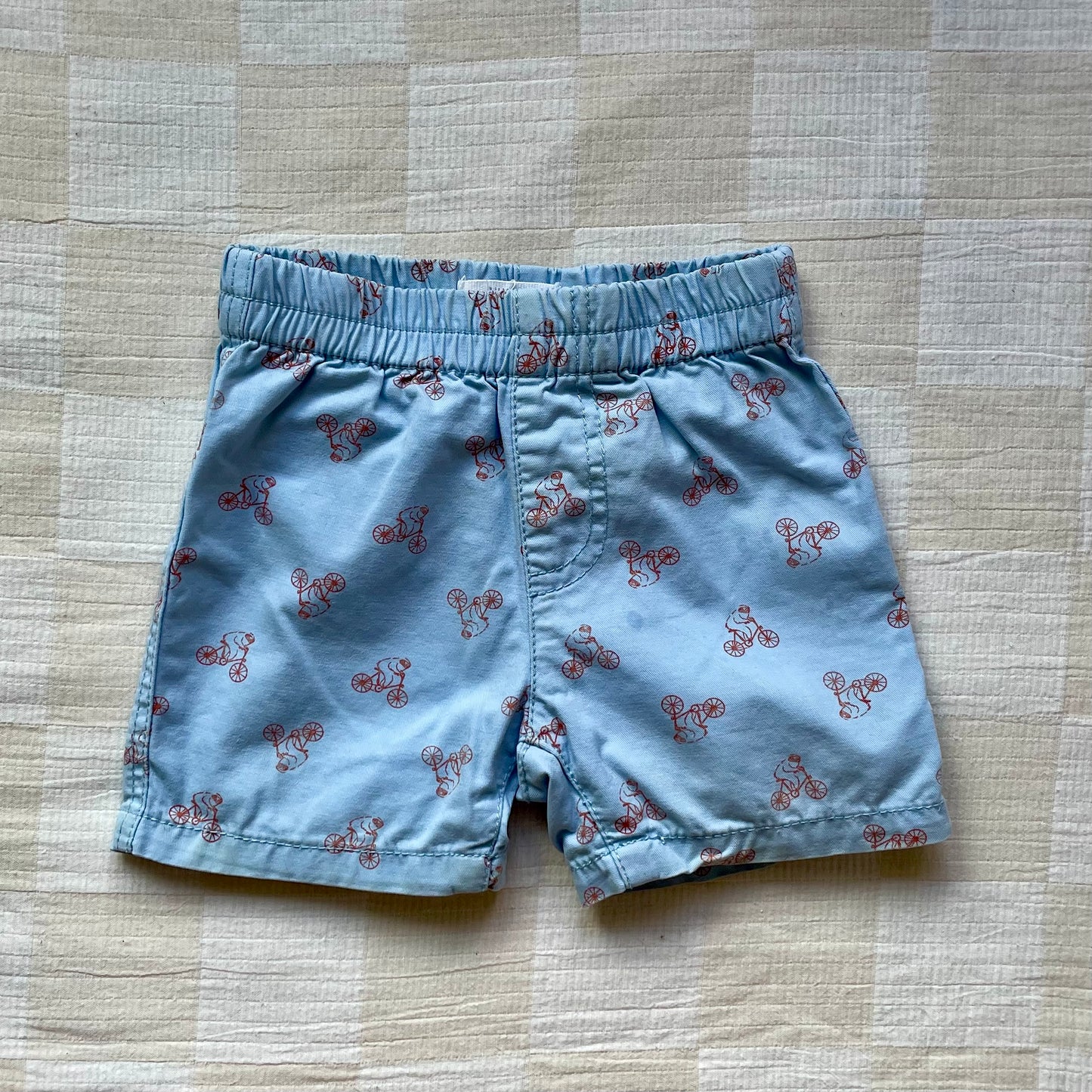 Pumpkin Patch Bicycle Short